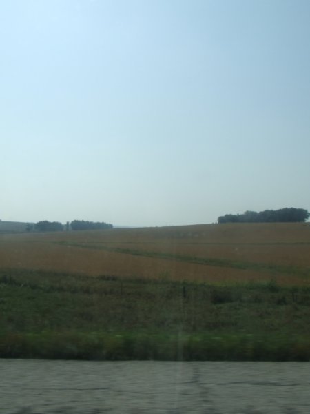 More fields