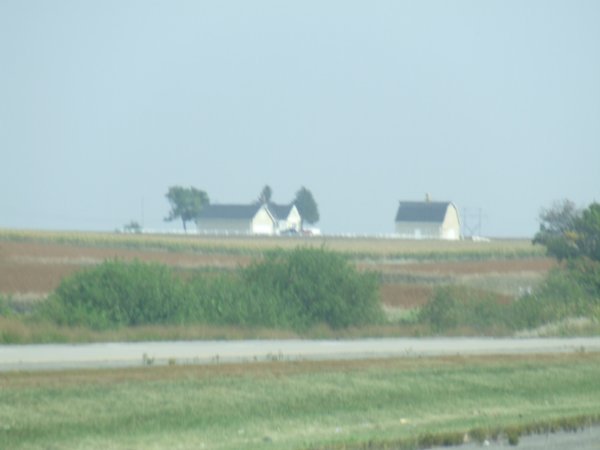 Farmhouse and Fields