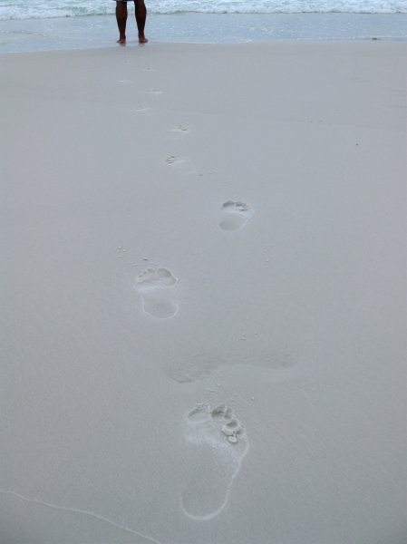 Joe's Footprints