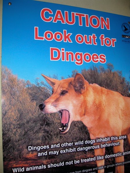 Dingo Warning
