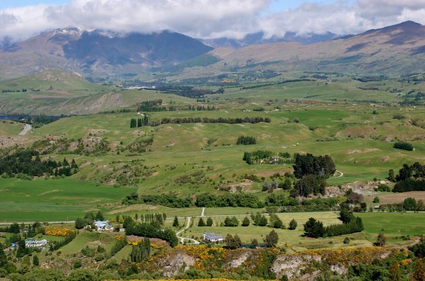 Queenstown  Countryside
