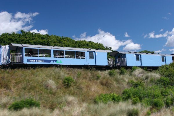 NZ Train