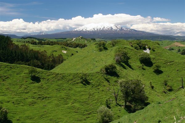 Tongariro Volcanoes