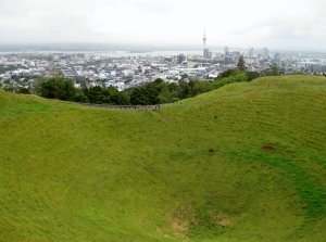 Gray Day in Auckland