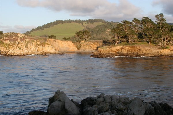 Point Lobos, North Shore Trail