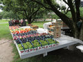 Produce for Sale on the Niagara River Road
