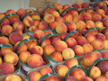 Super Delicious Peaches