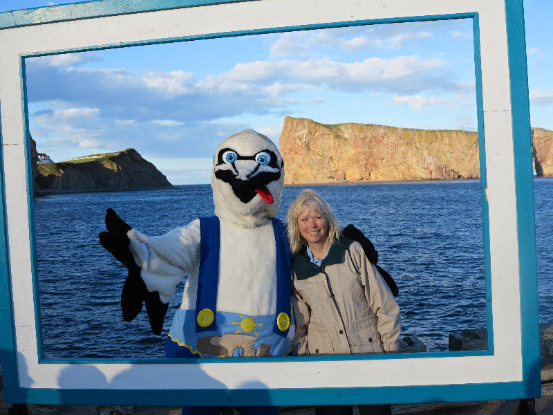 The Gannet and Me