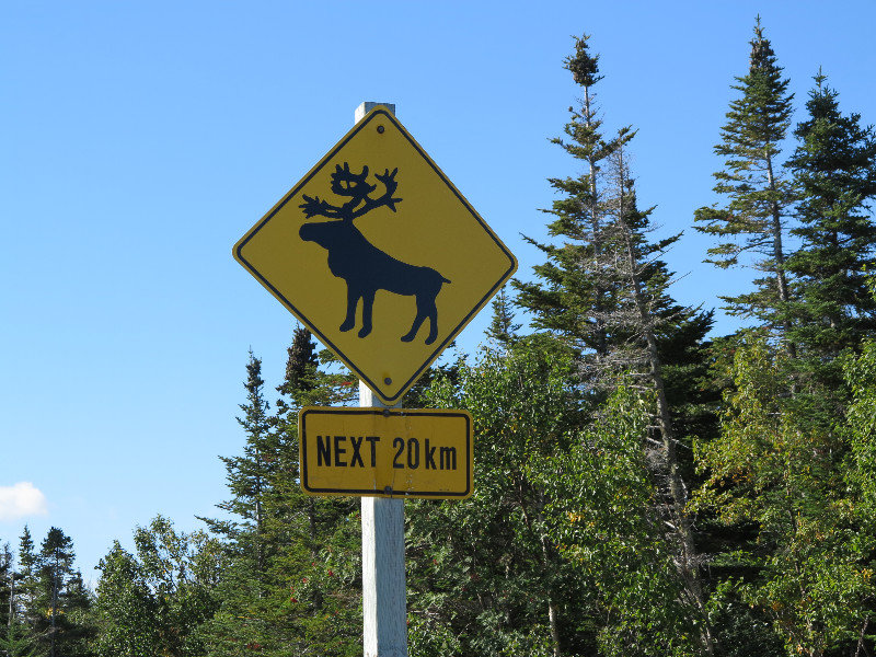 Caribou Warning