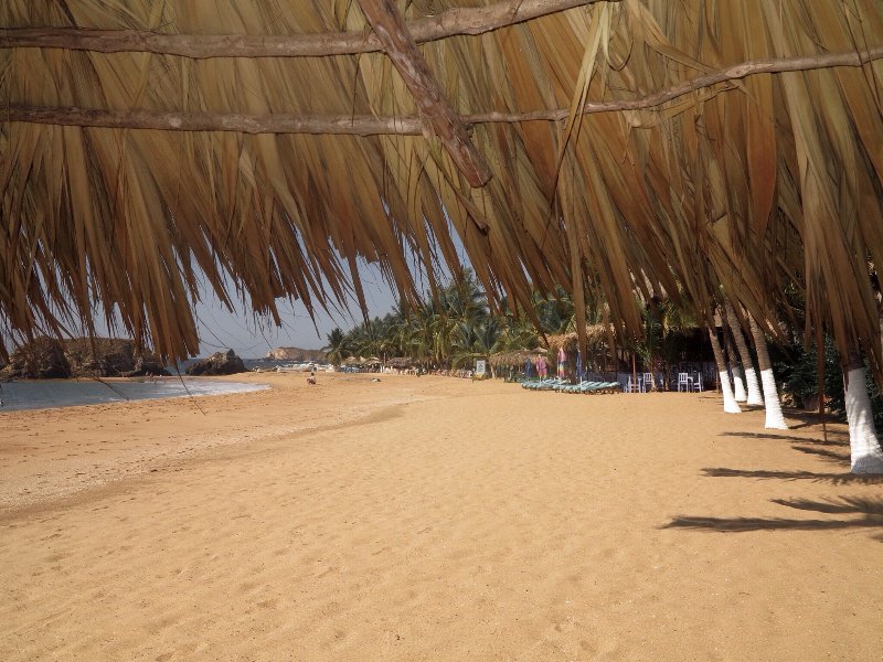 My View from under the Palapa