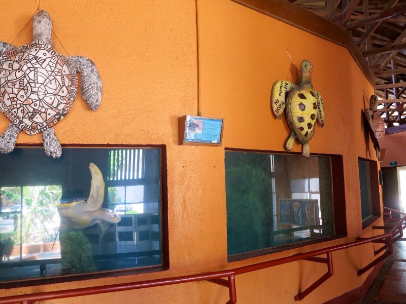 Turtle Center at Mazunte