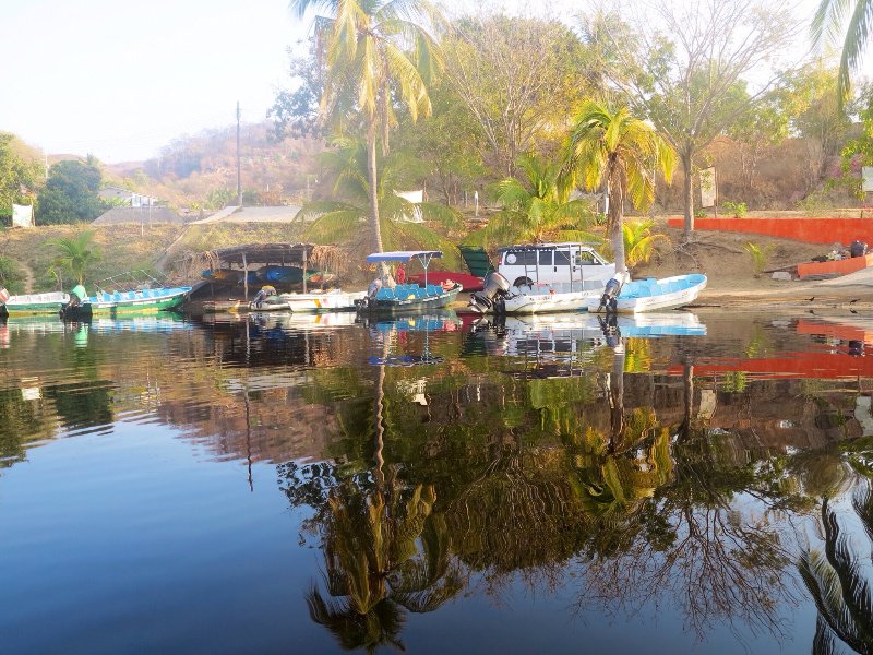 Docks at Manialtepec Lagoon
