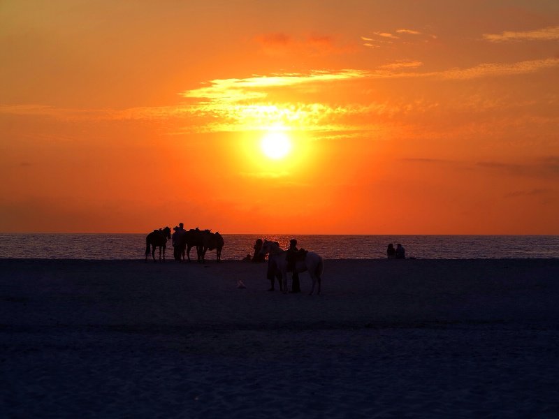 Playa Zicatela Sunset