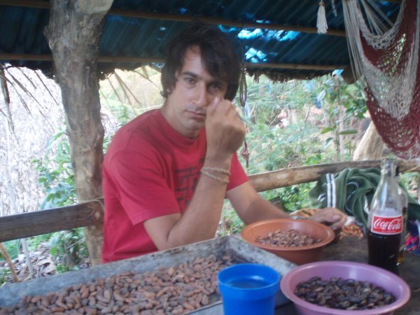 Peeling cacao