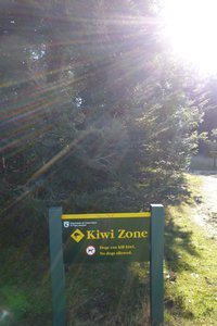 Kiwi zone