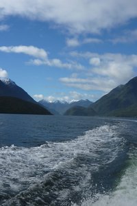 Doubtful fjord