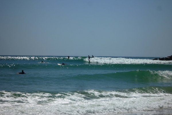 Surfing at Noosa Heads... Tea trees beach