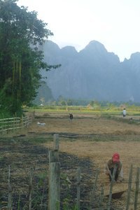 Farming in Vang Vieng