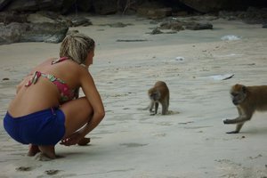 Feeding the monkeys
