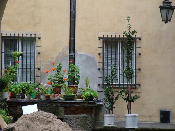 Courtyard with flowers