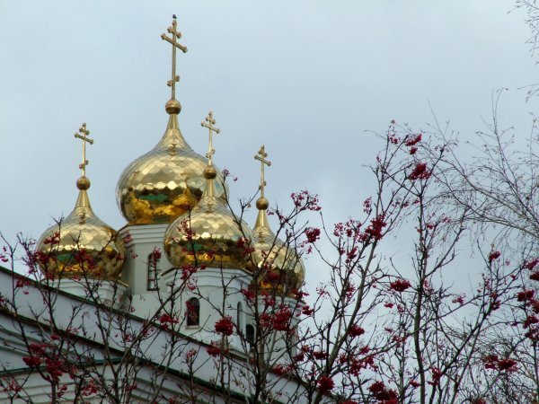 Golden domes of the Church of the Blood