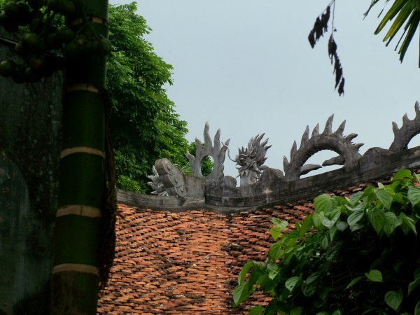 Dragons on the rooftop