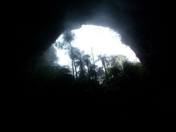 From the bottom of the cave