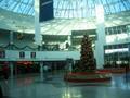Piarco airport Christmas tree
