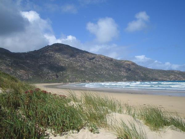 Beach at the back of the Tidal River campsite
