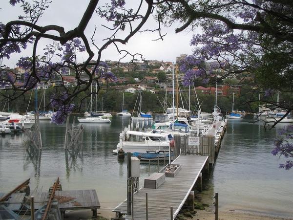 Manly Scenic Walk