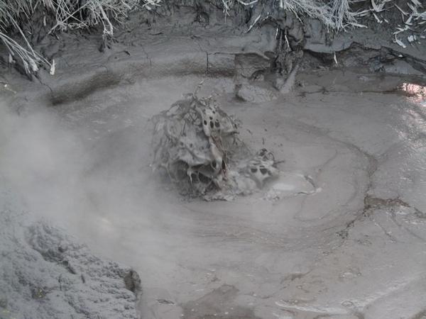 Mud pool in Rotorua's Kuirau Park