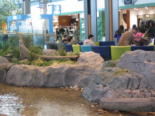 there is a river in this airport