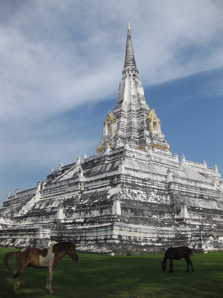 Outrageously pastoral Wat Phu Khao Thong