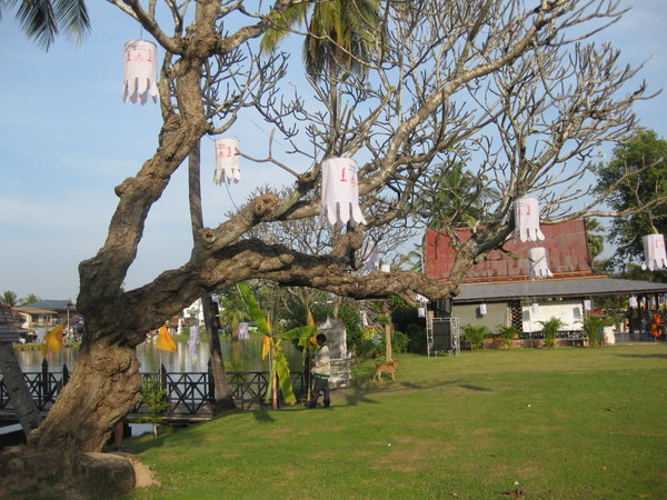 Wat Trapong Tong garden