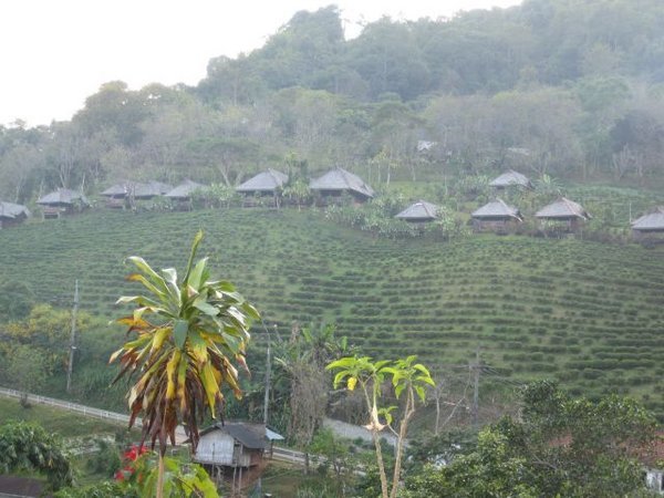 Village on a hillside 