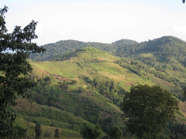 Mae Salong valley