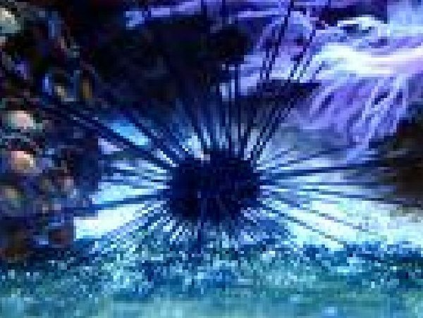 Black Diadema Sea Urchin