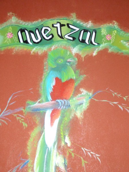 The Quetzal Room!
