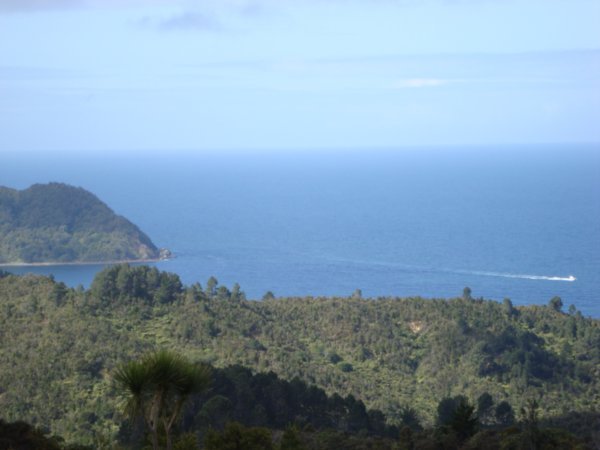 Look out point over Mercury Bay
