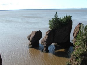 Flowerpot Rocks at High Tide