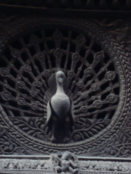 Peacock window