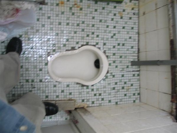 Asian Style Toilet
