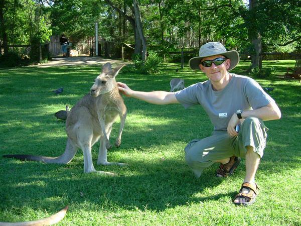 Brizzy kangaroo