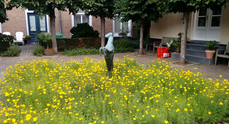 Frolicking in the flowers in Willem Mextuin Gardens