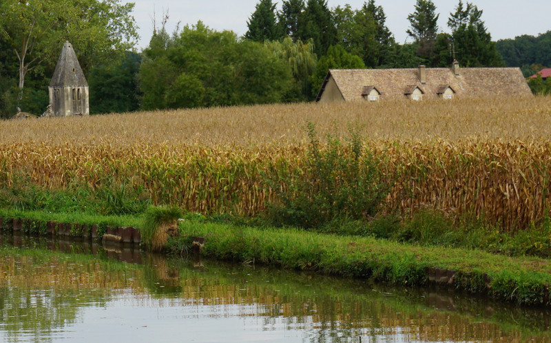 Cornfield by the Canal du Centre