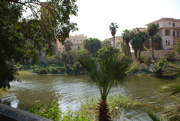 Nile in the Morning