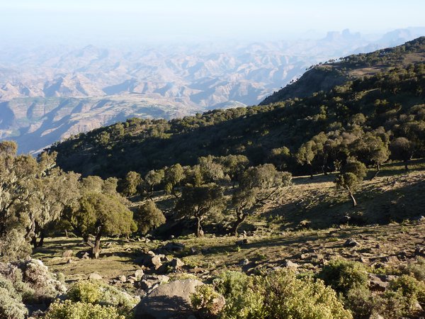 Into the Simien Highlands