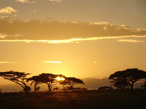 Dawn on the Serengeti