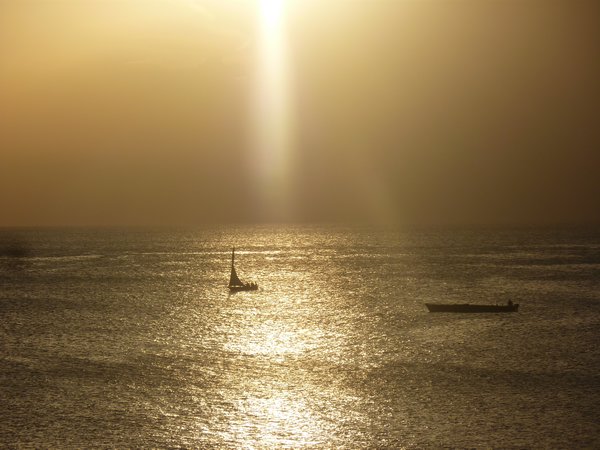 Dhows in the sunlight