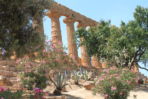Temple of Hera again